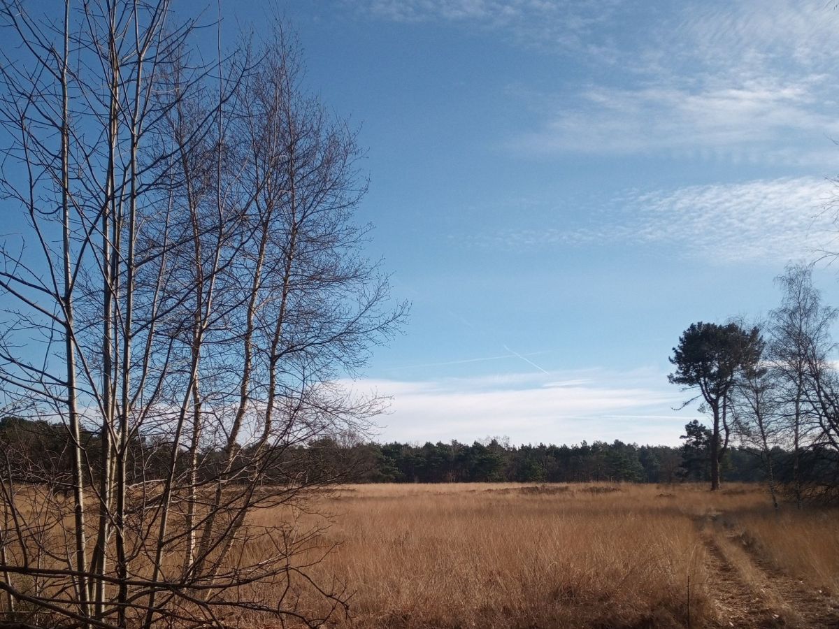 the most wonderful time of the&nbsp;year